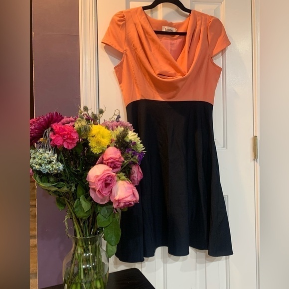 Louche Dresses & Skirts - 𝅺louche Modcloth Paloma Contrast Dress